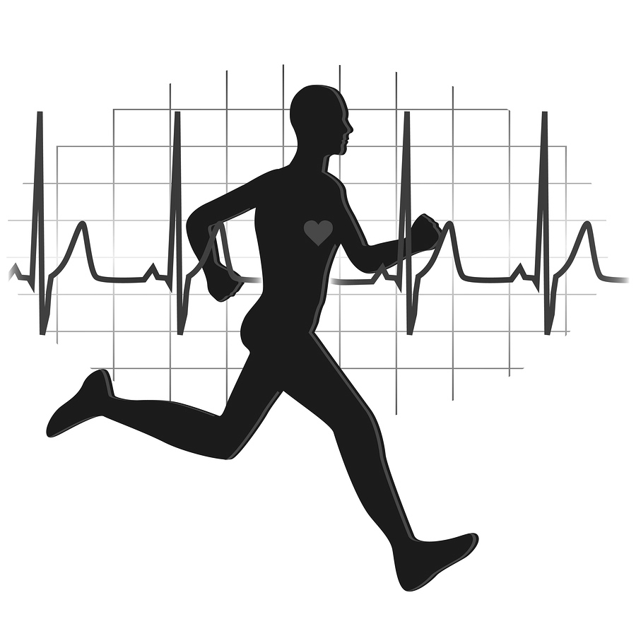 Cardiovascular2