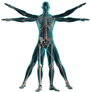 ORTHOPEDIC1.jpg